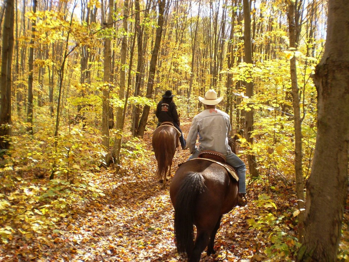 Types of Equine Therapy - Equestrian Therapy